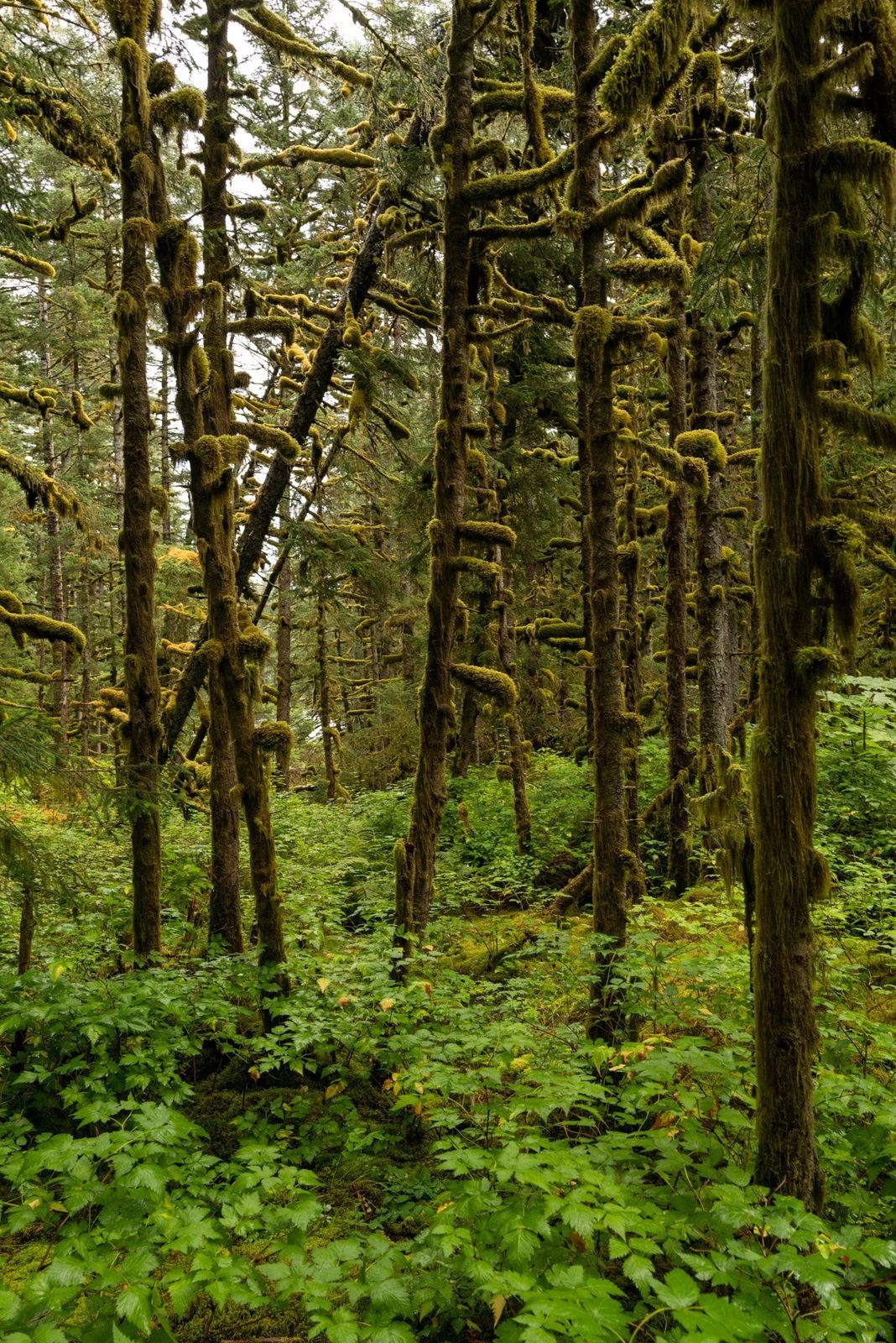 Alaska, photograph 12 of 34