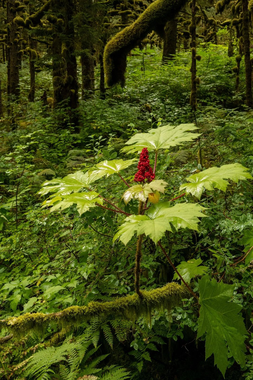 Alaska, photograph 14 of 34