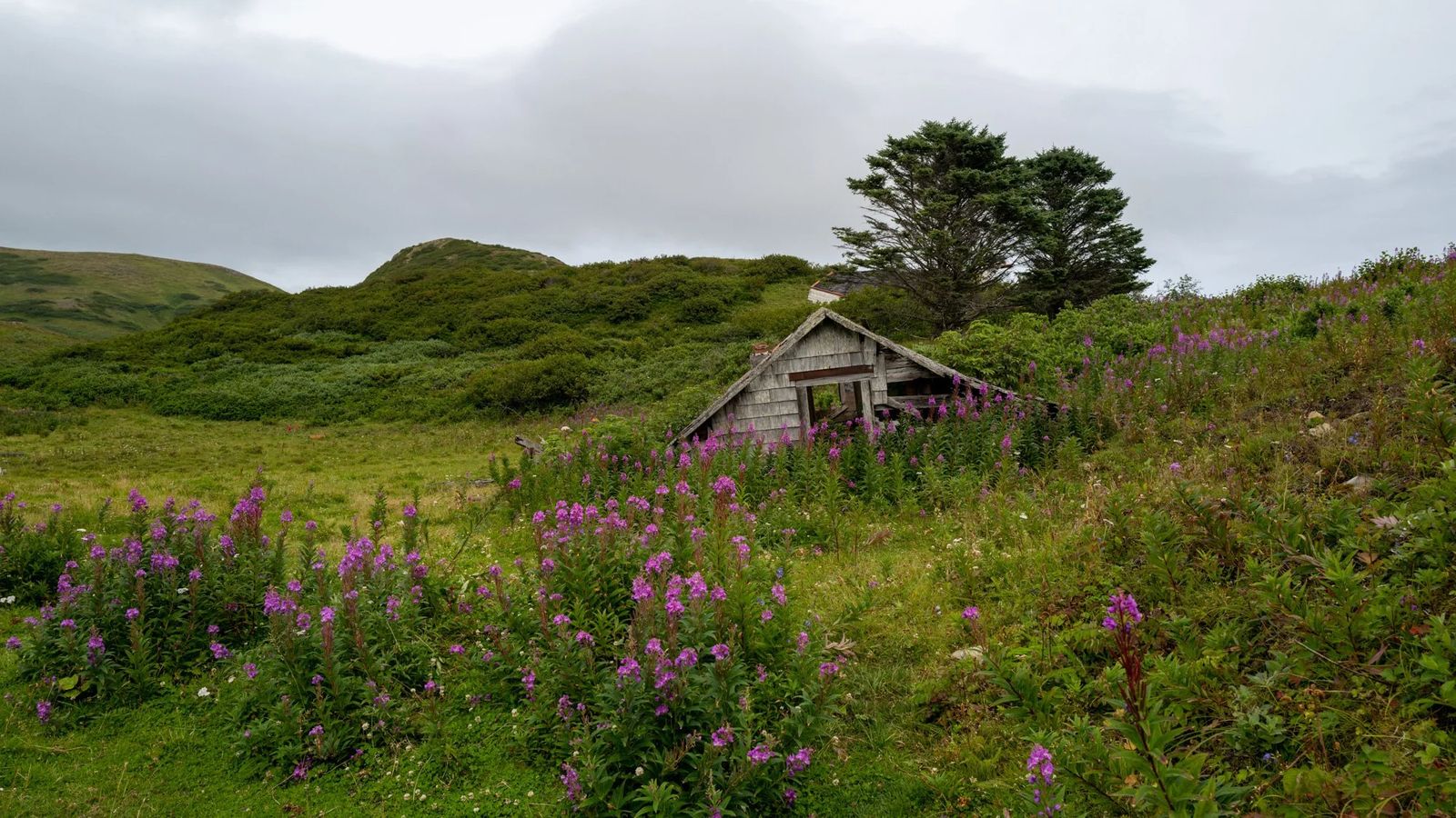 Alaska, photograph 22 of 34