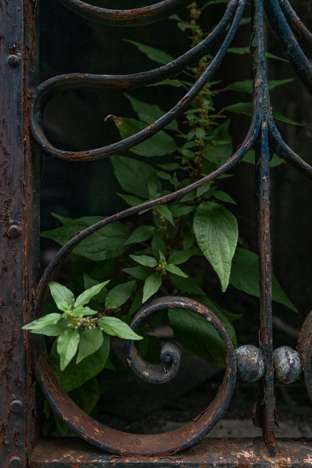 Buenos Aires, photograph 9 of 35