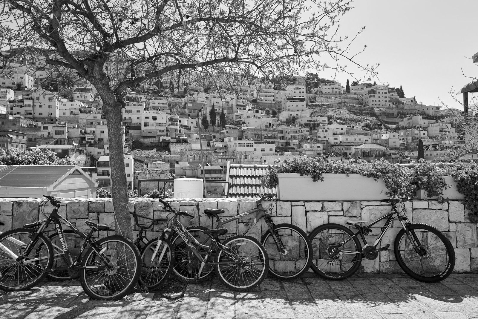 Israel, photograph 20 of 48