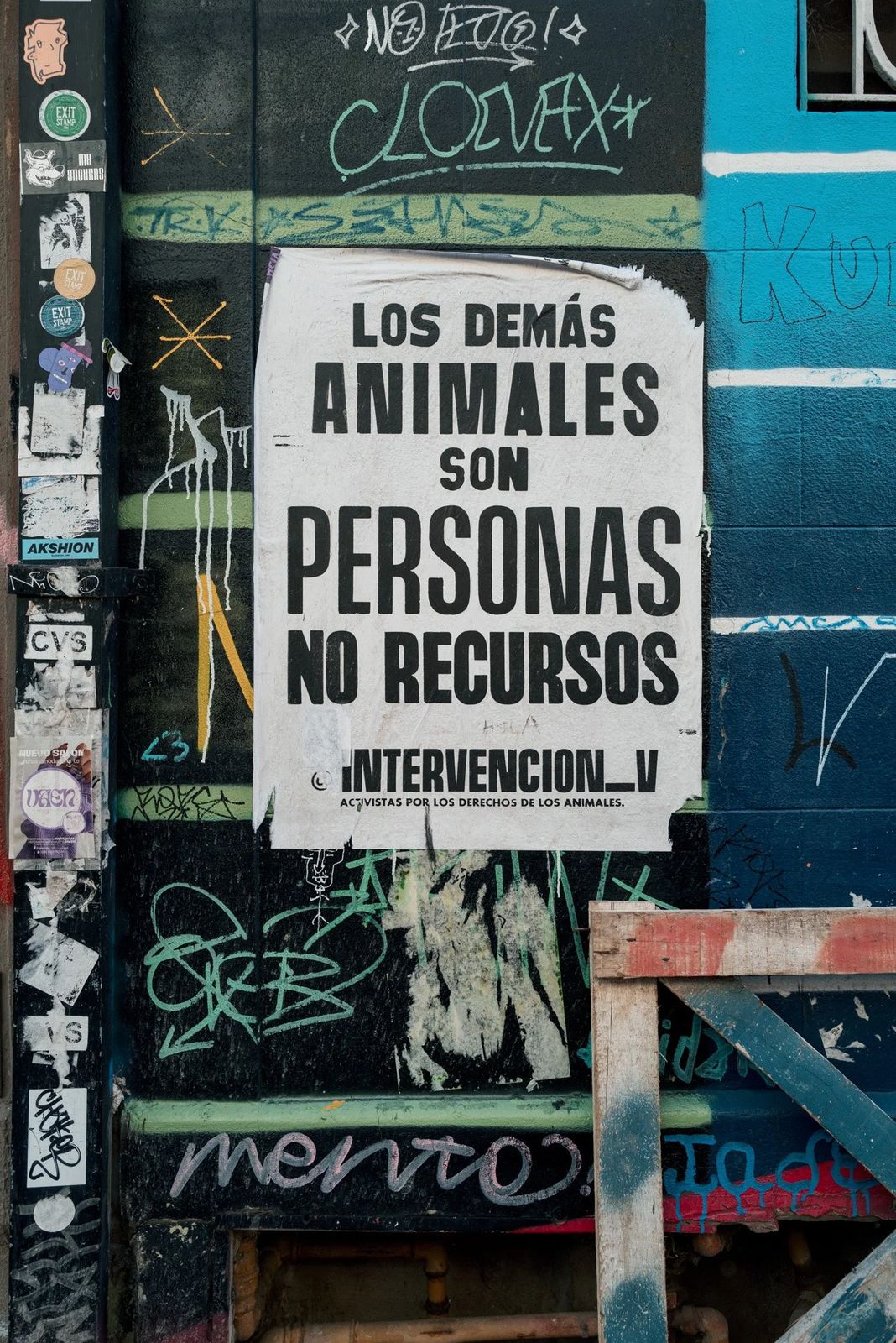 Buenos Aires, photograph 34 of 35