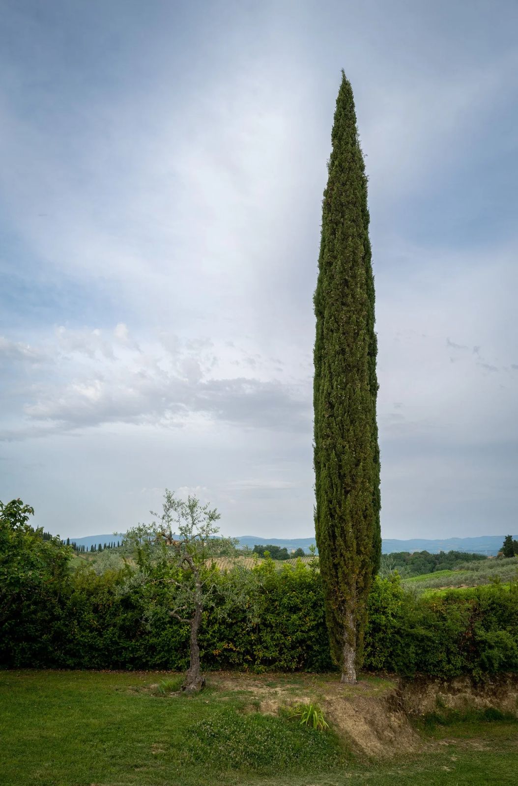 Florence, photograph 28 of 33
