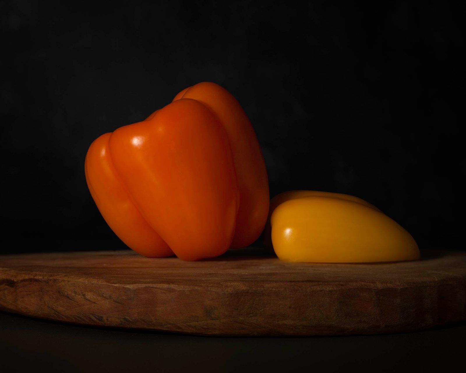 Dark Warmth, photograph 10 of 14