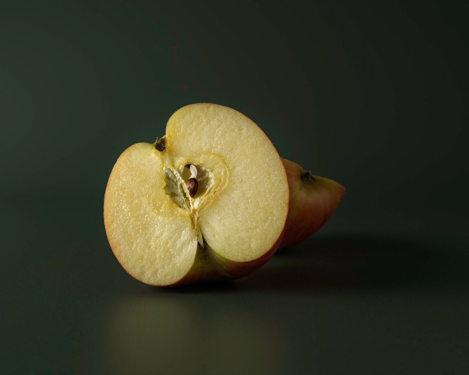 Dark Warmth, photograph 5 of 14