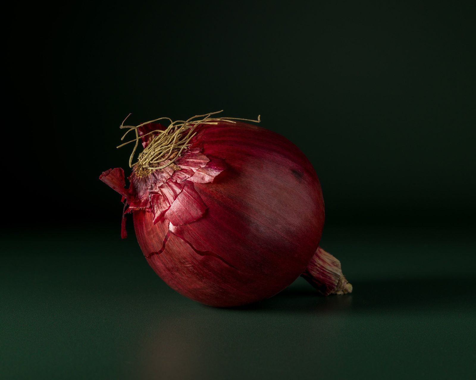 Dark Warmth, photograph 4 of 14