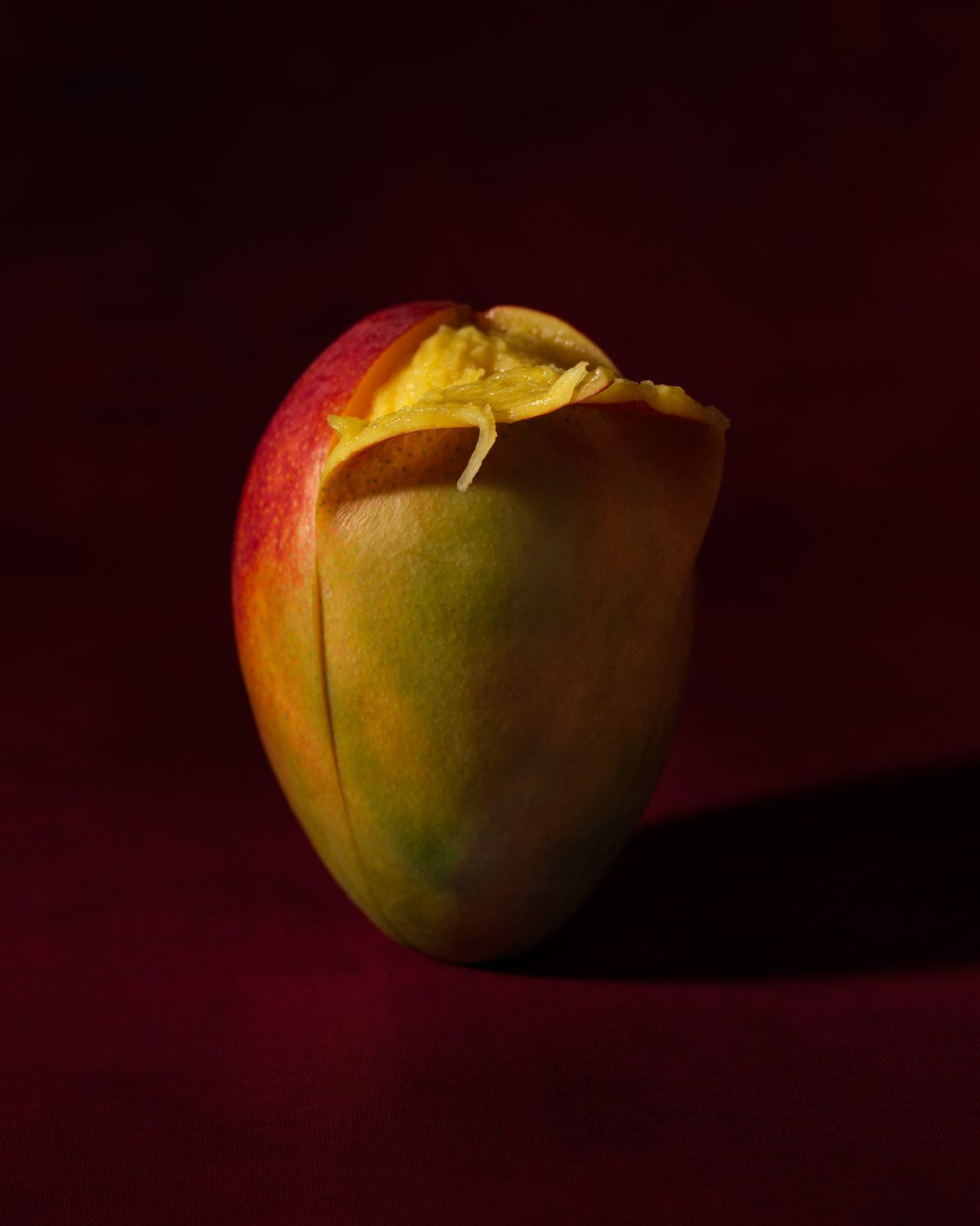 Dark Warmth, photograph 9 of 14