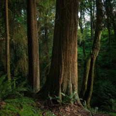 St. Edwards State Park